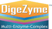 digezyme digezyme