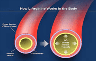 l-arganin l-arganin