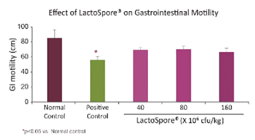 lactospore-priobiotic lactospore-priobiotic