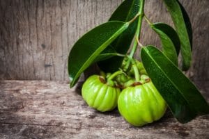 garcinia cambogia
