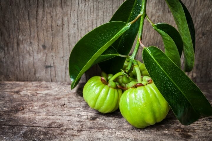 garcinia cambogia